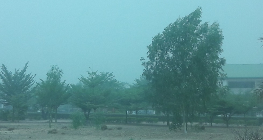 How To Stay Healthy During Harmattan