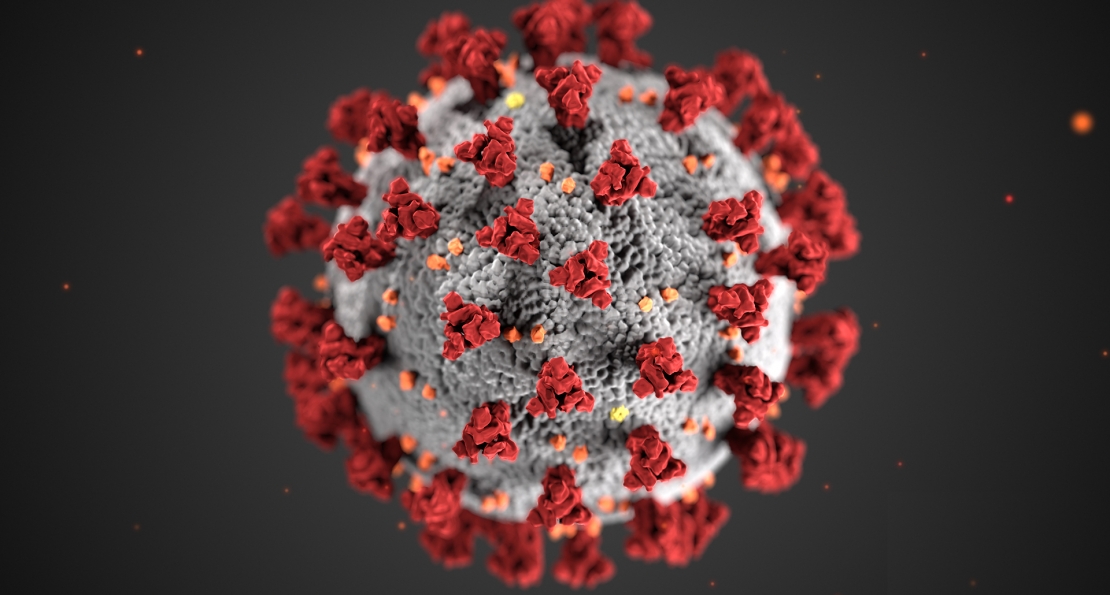 Coronavirus: Verify Information on Social Media, Prof Tyndall Advises
