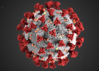 Coronavirus: Verify Information on Social Media, Prof Tyndall Advises