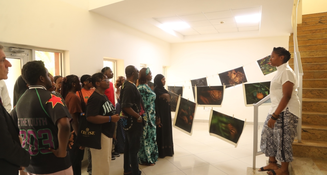 Through Nbide Ofun, Alum Haye Okoh's Art Exhibition Echoes AUN's Journey of Resilience, Tenacity