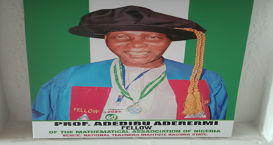 Prof Abass Aderemi Adedibu JP,FSTAN FMAN,FSEA,FAIA,FPEA